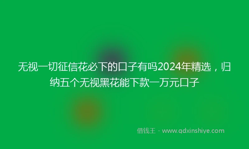 无视一切征信花必下的口子有吗2024年精选，归纳五个无视黑花能下款一万元口子