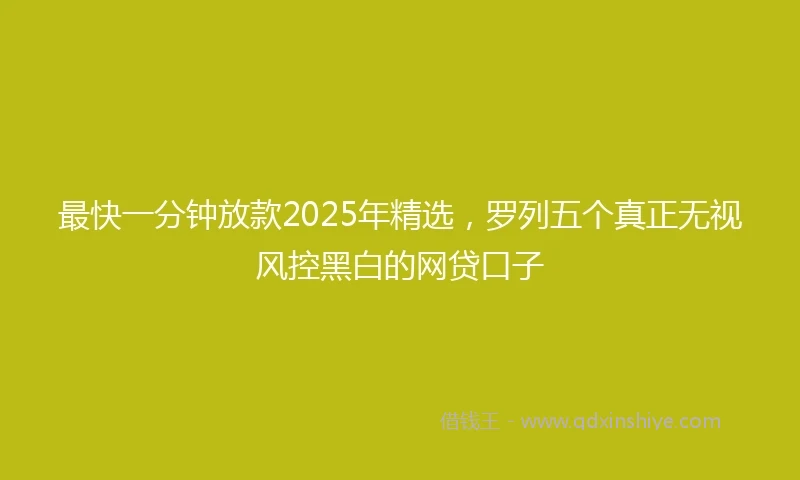 最快一分钟放款2025年精选，罗列五个真正无视风控黑白的网贷口子