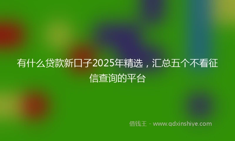 有什么贷款新口子2025年精选，汇总五个不看征信查询的平台