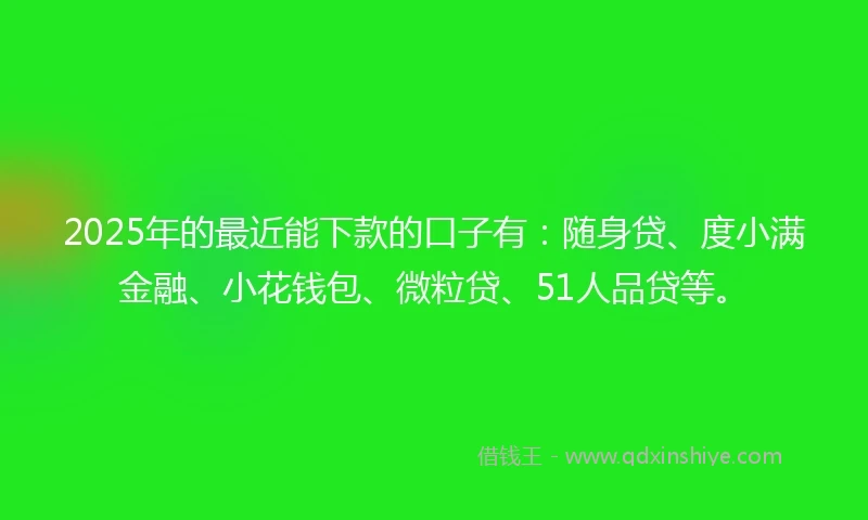 2025年的最近能下款的口子有：随身贷、度小满金融、小花钱包、微粒贷、51人品贷等。