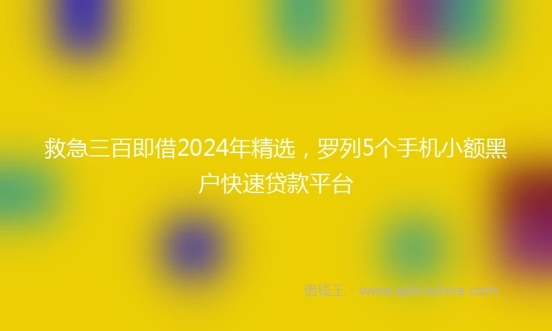 救急三百即借2024年精选，罗列5个手机小额黑户快速贷款平台