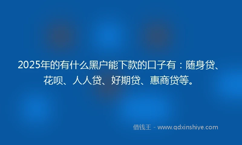 2025年的有什么黑户能下款的口子有：随身贷、花呗、人人贷、好期贷、惠商贷等。