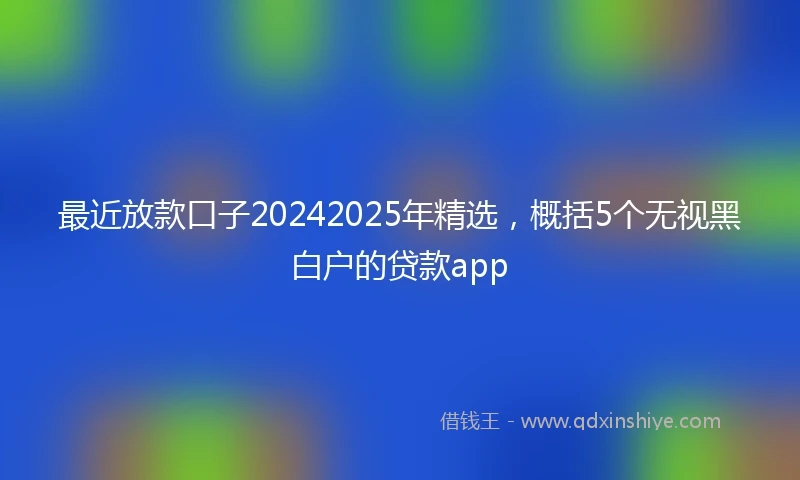 最近放款口子20242025年精选，概括5个无视黑白户的贷款app