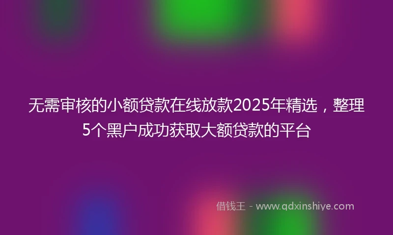 无需审核的小额贷款在线放款2025年精选，整理5个黑户成功获取大额贷款的平台