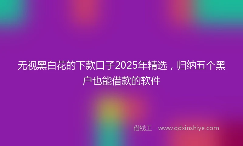 无视黑白花的下款口子2025年精选，归纳五个黑户也能借款的软件