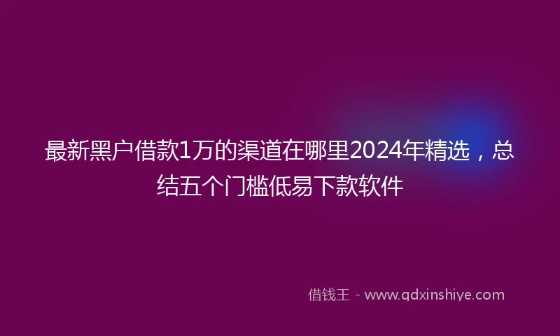 最新黑户借款1万的渠道在哪里2024年精选，总结五个门槛低易下款软件