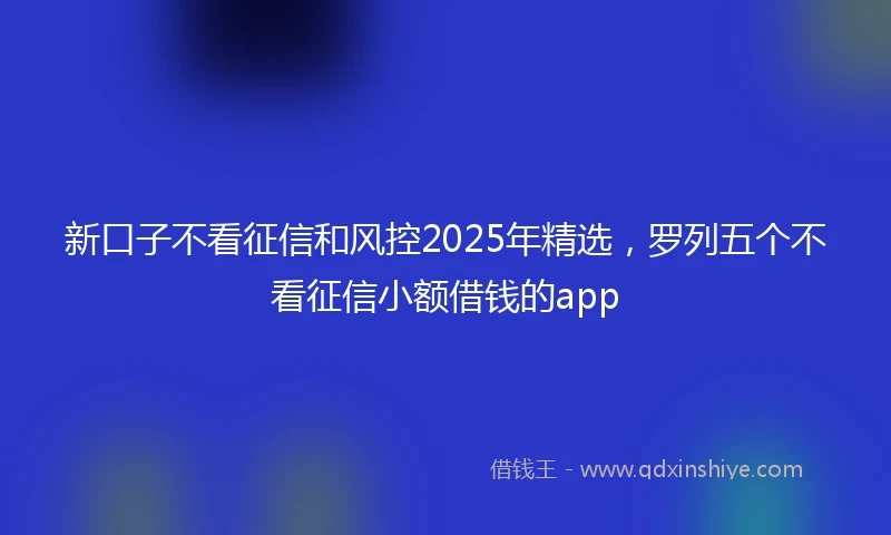 新口子不看征信和风控2025年精选，罗列五个不看征信小额借钱的app
