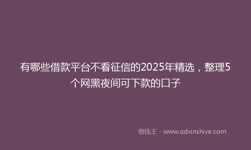 有哪些借款平台不看征信的2025年精选，整理5个网黑夜间可下款的口子