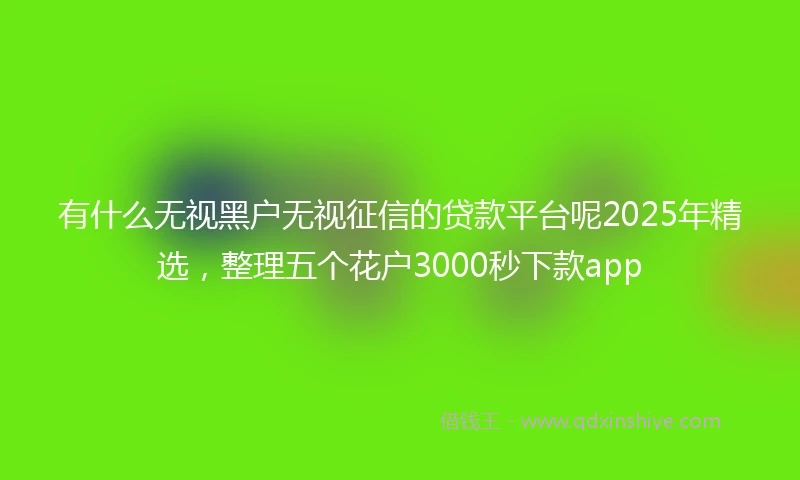 有什么无视黑户无视征信的贷款平台呢2025年精选，整理五个花户3000秒下款app