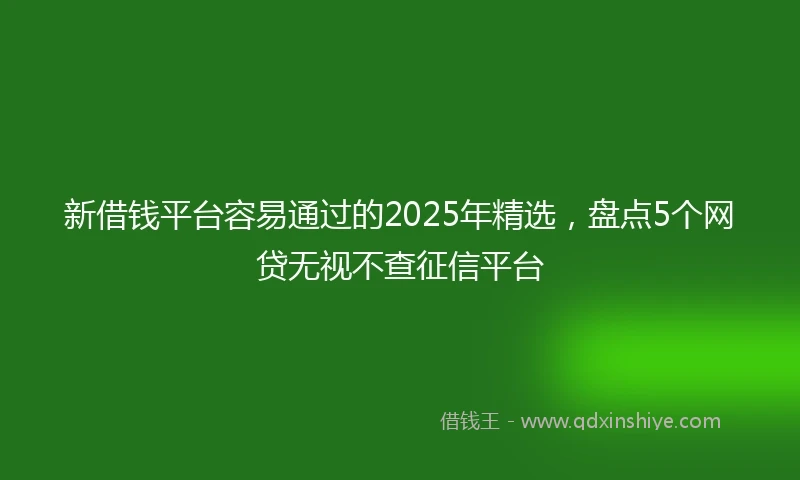 新借钱平台容易通过的2025年精选，盘点5个网贷无视不查征信平台