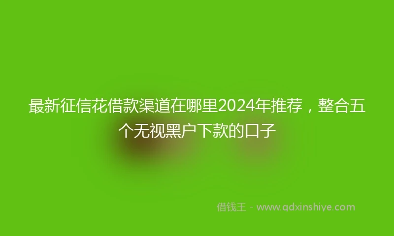 最新征信花借款渠道在哪里2024年推荐，整合五个无视黑户下款的口子