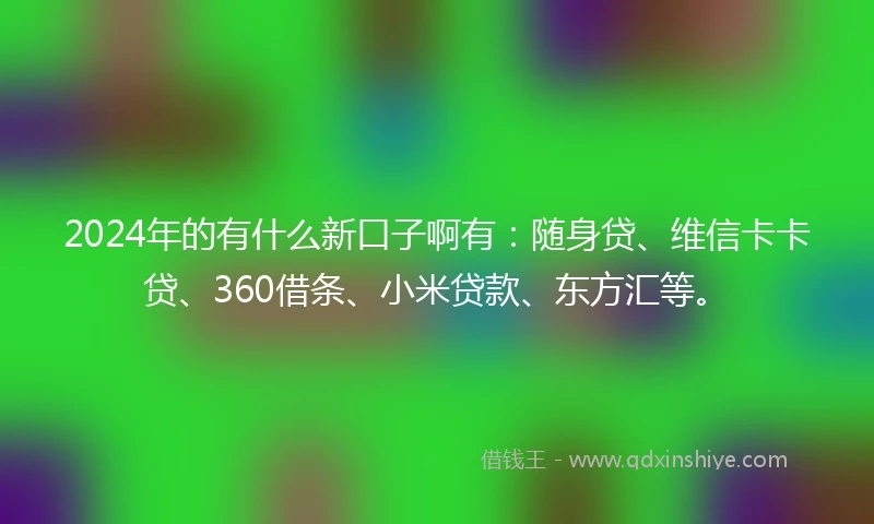2024年的有什么新口子啊有：随身贷、维信卡卡贷、360借条、小米贷款、东方汇等。