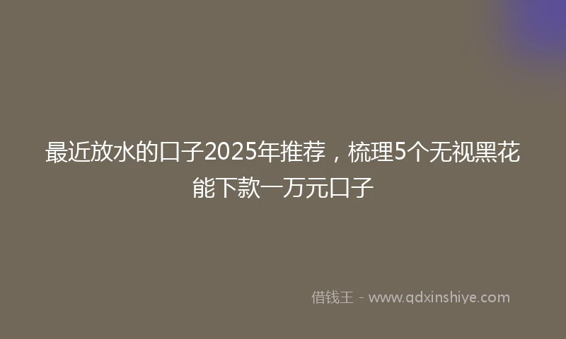 最近放水的口子2025年推荐，梳理5个无视黑花能下款一万元口子