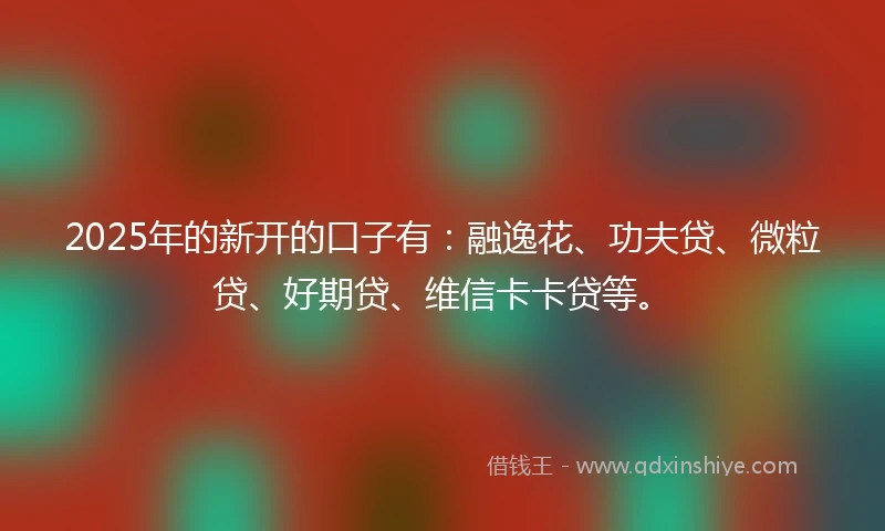 2025年的新开的口子有：融逸花、功夫贷、微粒贷、好期贷、维信卡卡贷等。