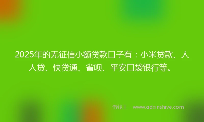 2025年的无征信小额贷款口子有：小米贷款、人人贷、快贷通、省呗、平安口袋银行等。