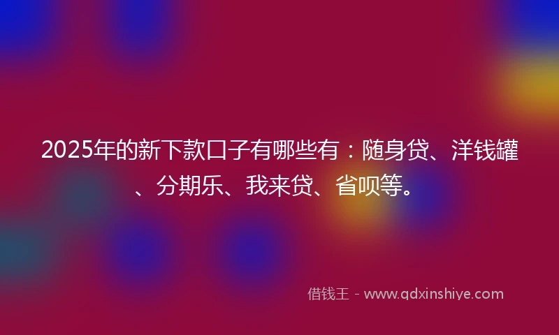2025年的新下款口子有哪些有：随身贷、洋钱罐、分期乐、我来贷、省呗等。
