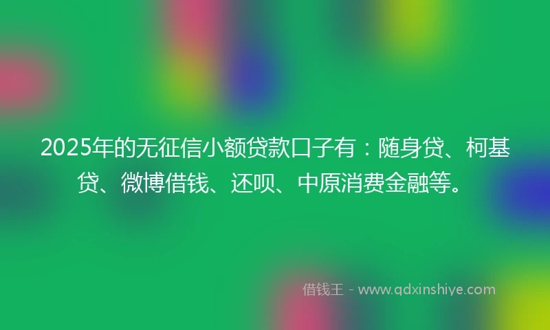 2025年的无征信小额贷款口子有:随身贷、柯基贷、微博借钱、还呗、中原消费金融等。