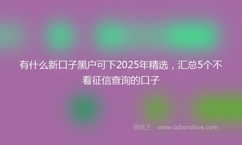 有什么新口子黑户可下2025年精选，汇总5个不看征信查询的口子