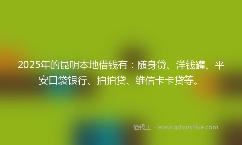 2025年的昆明本地借钱有：随身贷、洋钱罐、平安口袋银行、拍拍贷、维信卡卡贷等。