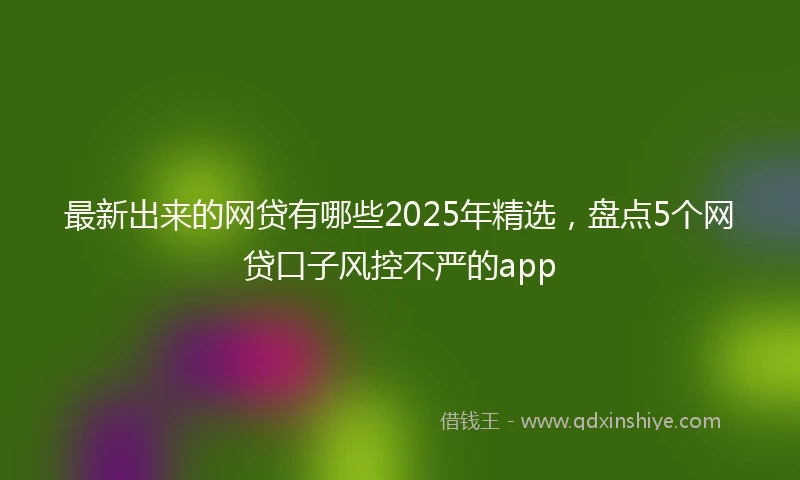 最新出来的网贷有哪些2025年精选，盘点5个网贷口子风控不严的app