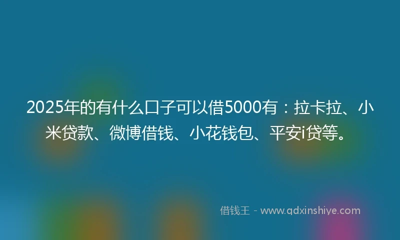 2025年的有什么口子可以借5000有：拉卡拉、小米贷款、微博借钱、小花钱包、平安i贷等。