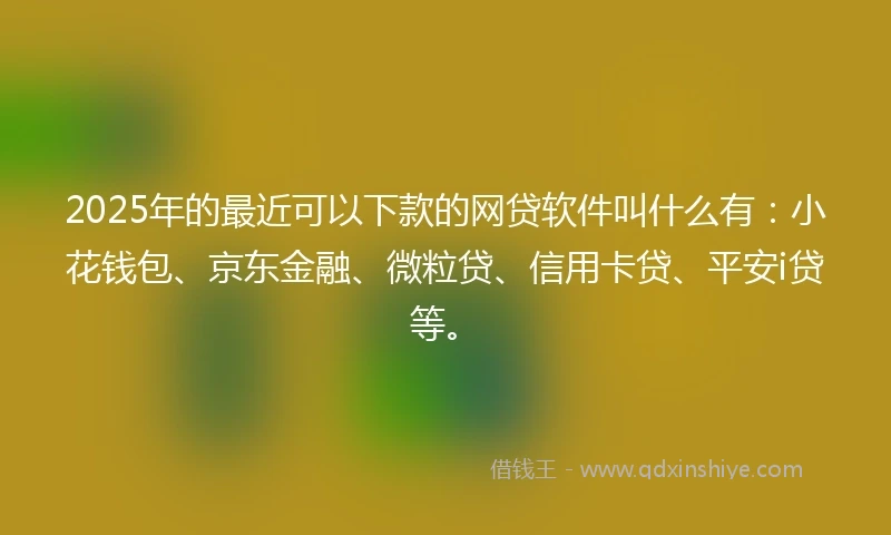 2025年的最近可以下款的网贷软件叫什么有：小花钱包、京东金融、微粒贷、信用卡贷、平安i贷等。