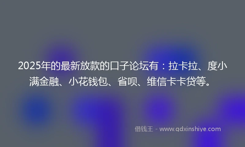 2025年的最新放款的口子论坛有：拉卡拉、度小满金融、小花钱包、省呗、维信卡卡贷等。