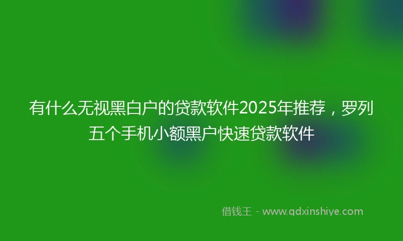 有什么无视黑白户的贷款软件2025年推荐，罗列五个手机小额黑户快速贷款软件