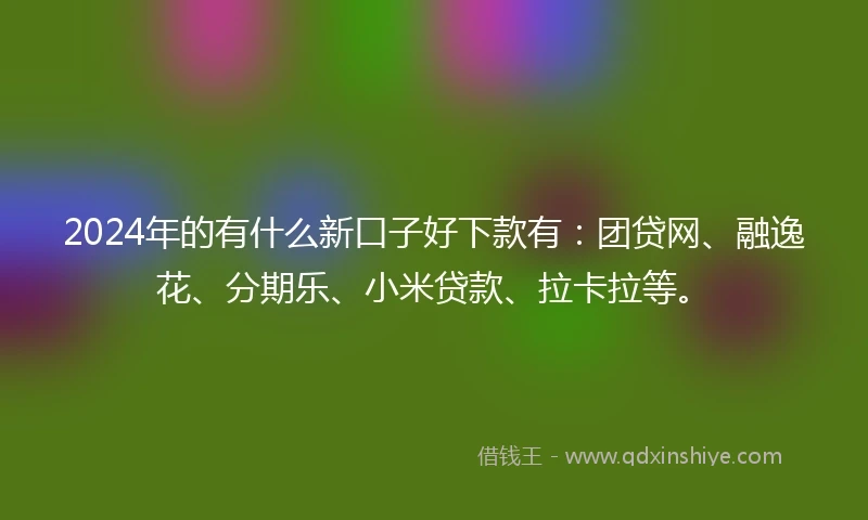 2024年的有什么新口子好下款有：团贷网、融逸花、分期乐、小米贷款、拉卡拉等。