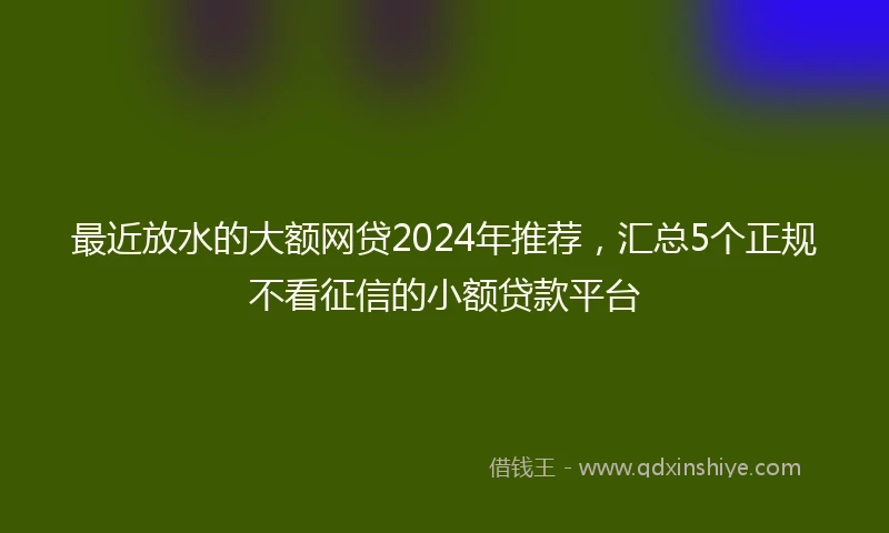最近放水的大额网贷2024年推荐，汇总5个正规不看征信的小额贷款平台