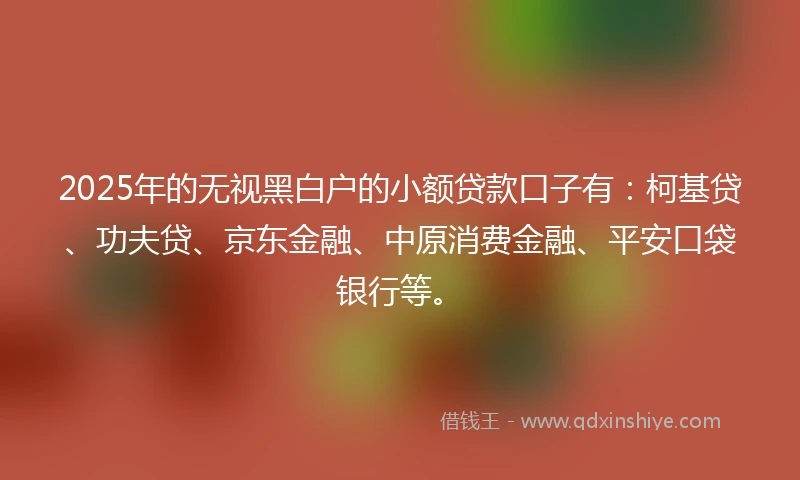 2025年的无视黑白户的小额贷款口子有：柯基贷、功夫贷、京东金融、中原消费金融、平安口袋银行等。