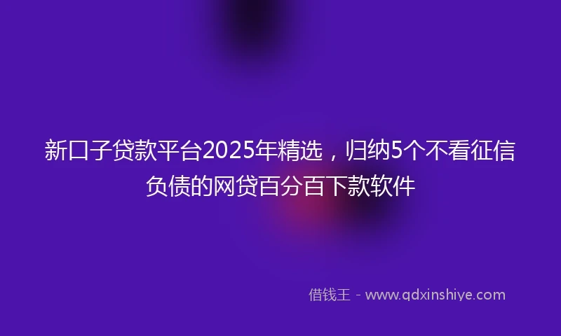 新口子贷款平台2025年精选，归纳5个不看征信负债的网贷百分百下款软件