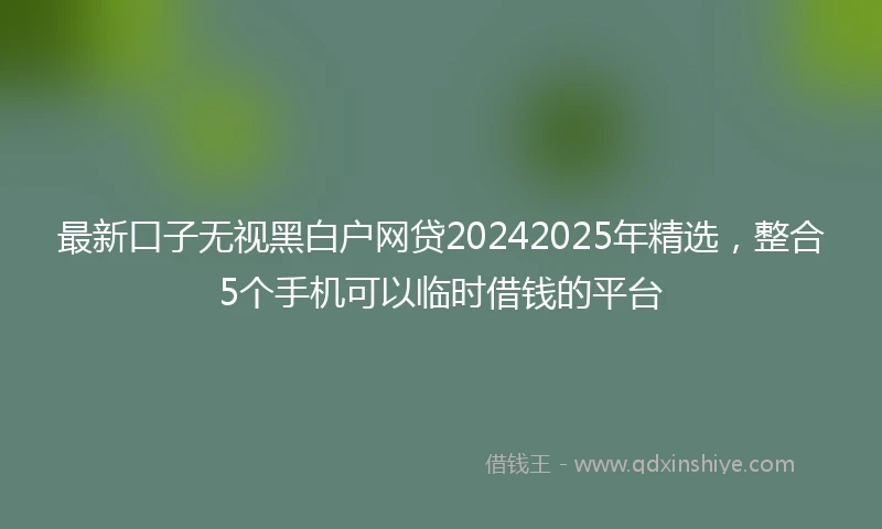 最新口子无视黑白户网贷20242025年精选，整合5个手机可以临时借钱的平台