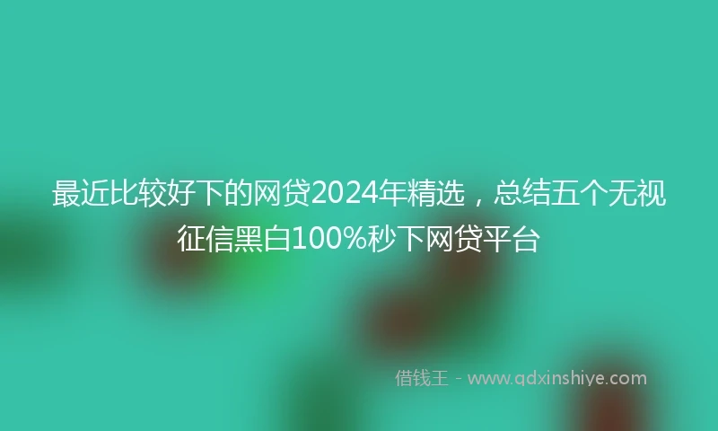 最近比较好下的网贷2024年精选，总结五个无视征信黑白100%秒下网贷平台