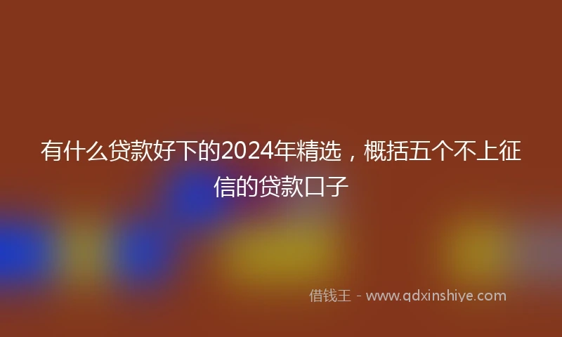 有什么贷款好下的2024年精选,概括五个不上征信的贷款口子