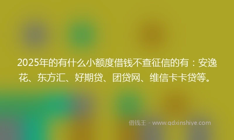 2025年的有什么小额度借钱不查征信的有：安逸花、东方汇、好期贷、团贷网、维信卡卡贷等。