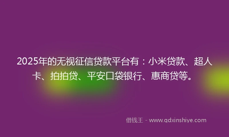 2025年的无视征信贷款平台有：小米贷款、超人卡、拍拍贷、平安口袋银行、惠商贷等。