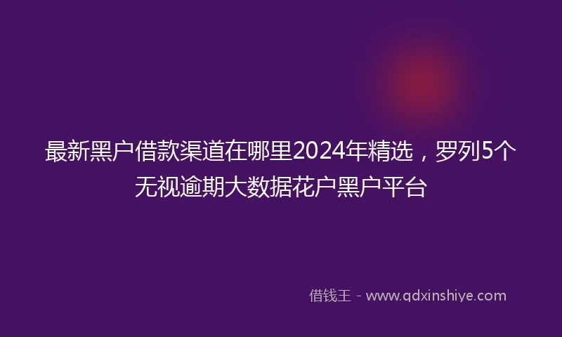 最新黑户借款渠道在哪里2024年精选，罗列5个无视逾期大数据花户黑户平台