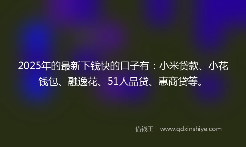 2025年的最新下钱快的口子有：小米贷款、小花钱包、融逸花、51人品贷、惠商贷等。