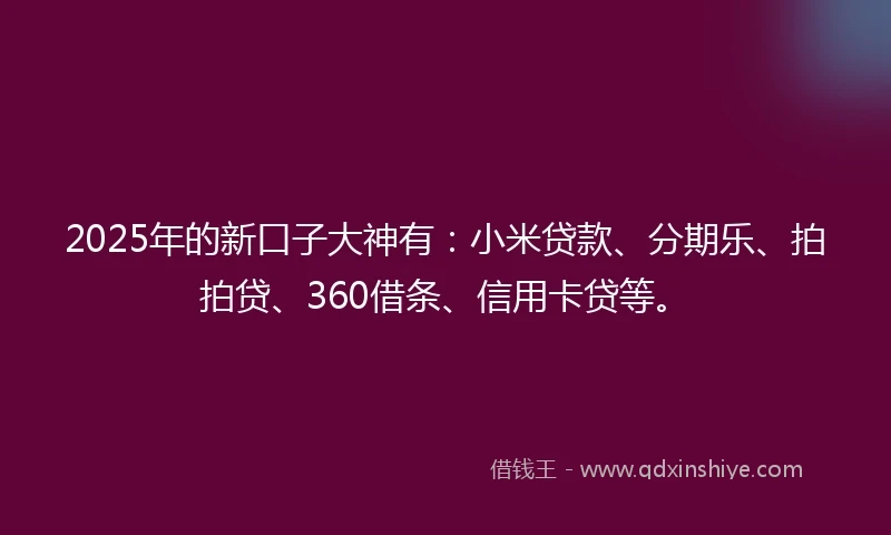 2025年的新口子大神有：小米贷款、分期乐、拍拍贷、360借条、信用卡贷等。