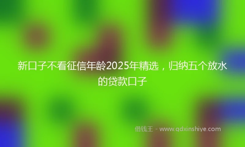 新口子不看征信年龄2025年精选，归纳五个放水的贷款口子