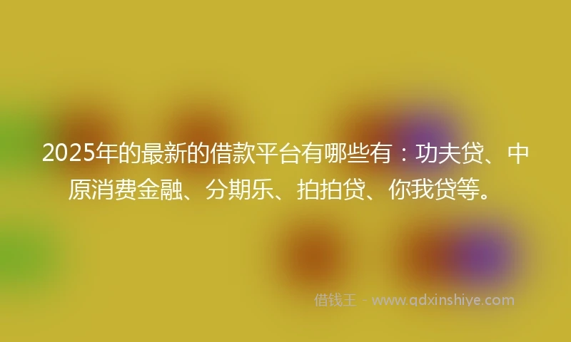 2025年的最新的借款平台有哪些有：功夫贷、中原消费金融、分期乐、拍拍贷、你我贷等。