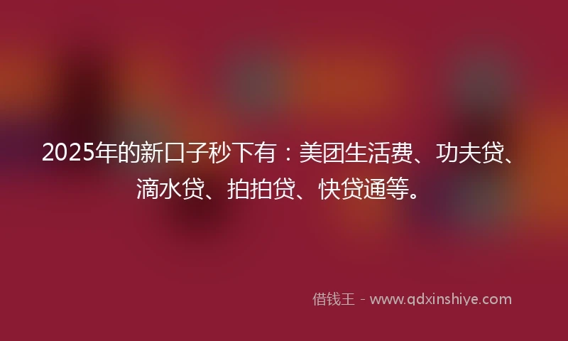 2025年的新口子秒下有：美团生活费、功夫贷、滴水贷、拍拍贷、快贷通等。