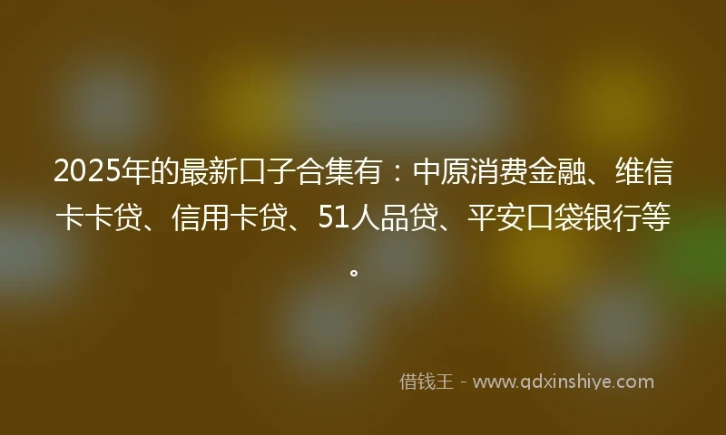 2025年的最新口子合集有：中原消费金融、维信卡卡贷、信用卡贷、51人品贷、平安口袋银行等。