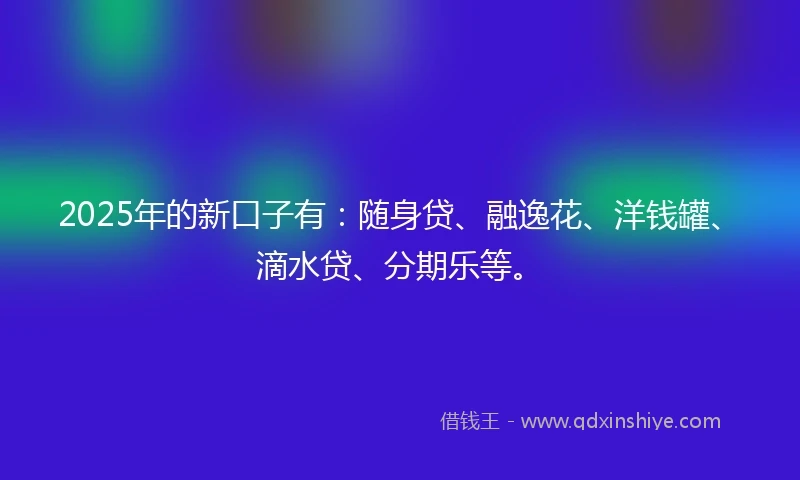 2025年的新口子有：随身贷、融逸花、洋钱罐、滴水贷、分期乐等。