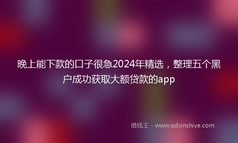 晚上能下款的口子很急2024年精选，整理五个黑户成功获取大额贷款的app