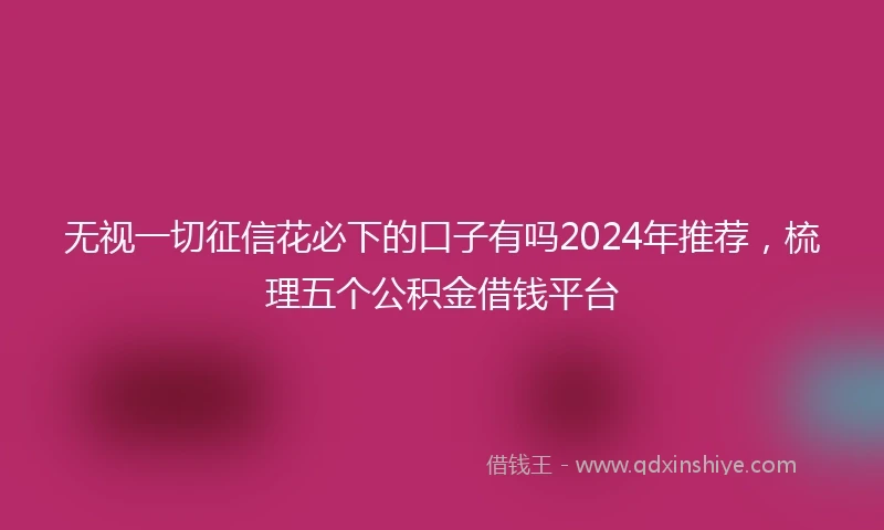 无视一切征信花必下的口子有吗2024年推荐，梳理五个公积金借钱平台