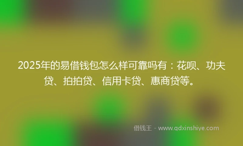 2025年的易借钱包怎么样可靠吗有：花呗、功夫贷、拍拍贷、信用卡贷、惠商贷等。