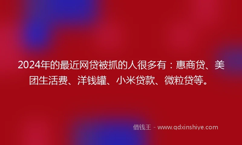 2024年的最近网贷被抓的人很多有：惠商贷、美团生活费、洋钱罐、小米贷款、微粒贷等。