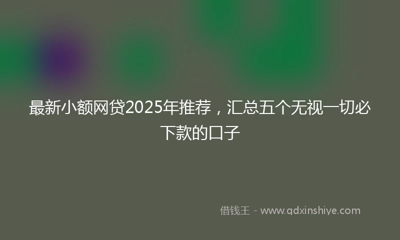 最新小额网贷2025年推荐，汇总五个无视一切必下款的口子